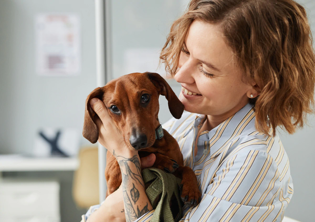 Desktop_Home_Treatment_Decisions A smiling person with short, wavy hair and a striped shirt holds a brown dachshund, gently cradling the dog’s face in their hand. The background is softly blurred, suggesting an indoor setting.