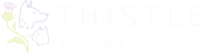 Logo for Thistle Veterinary Clinic featuring simple line drawings of a cat and dog next to a stylized thistle flower. The text reads THISTLE veterinary clinic on a light background.