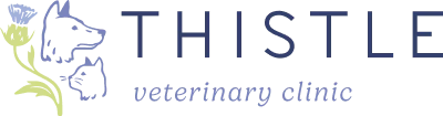 Thistle_Logo_Header
