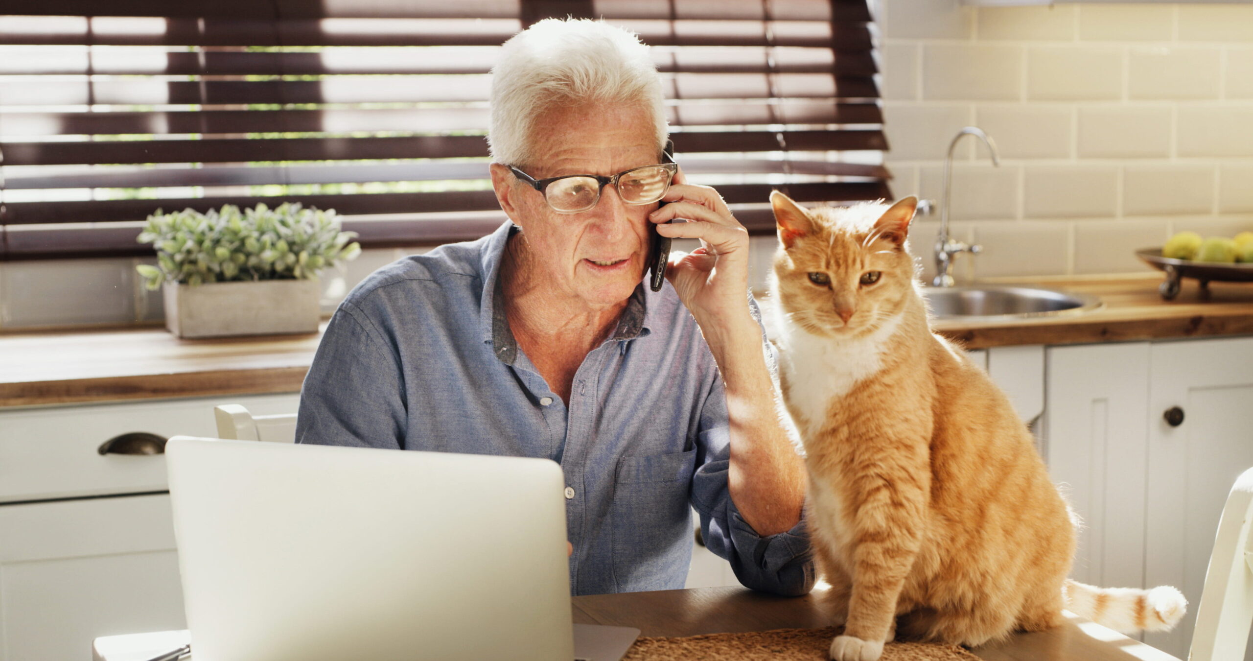 AdobeStock_1682674270 Older pet vet visit in Seattle, WA